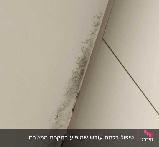 עובש על תקרה, בעיה באיטום